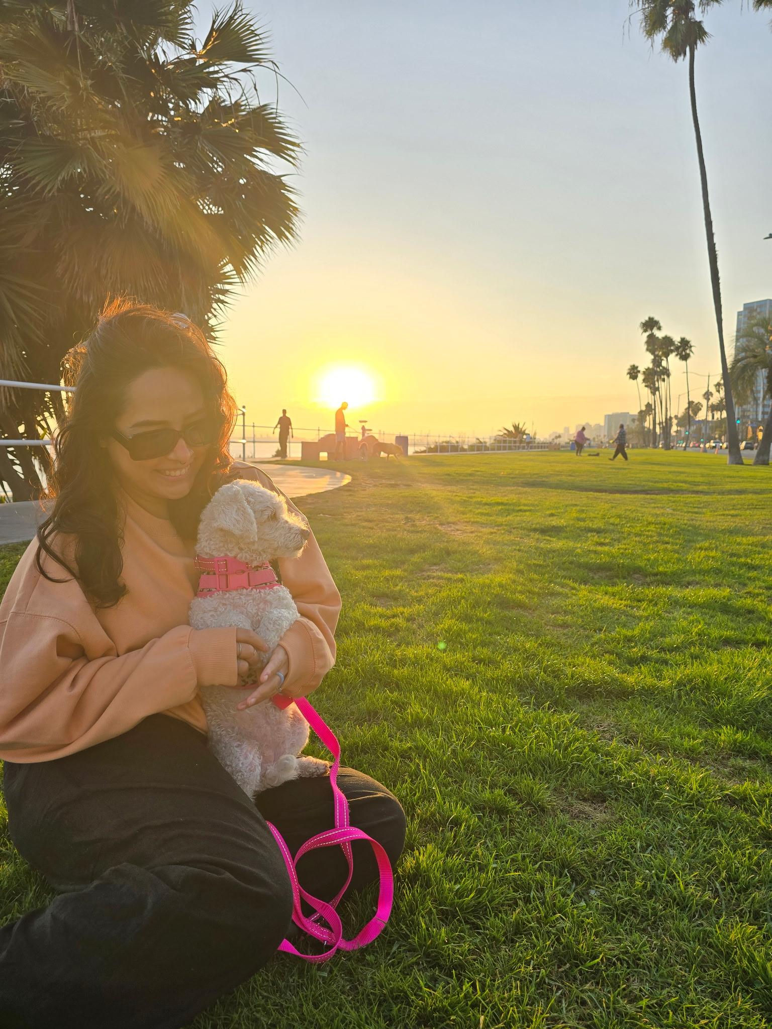 Dog and cat playing outdoors in Long Beach, illustrating the importance of exercise for pet weight management