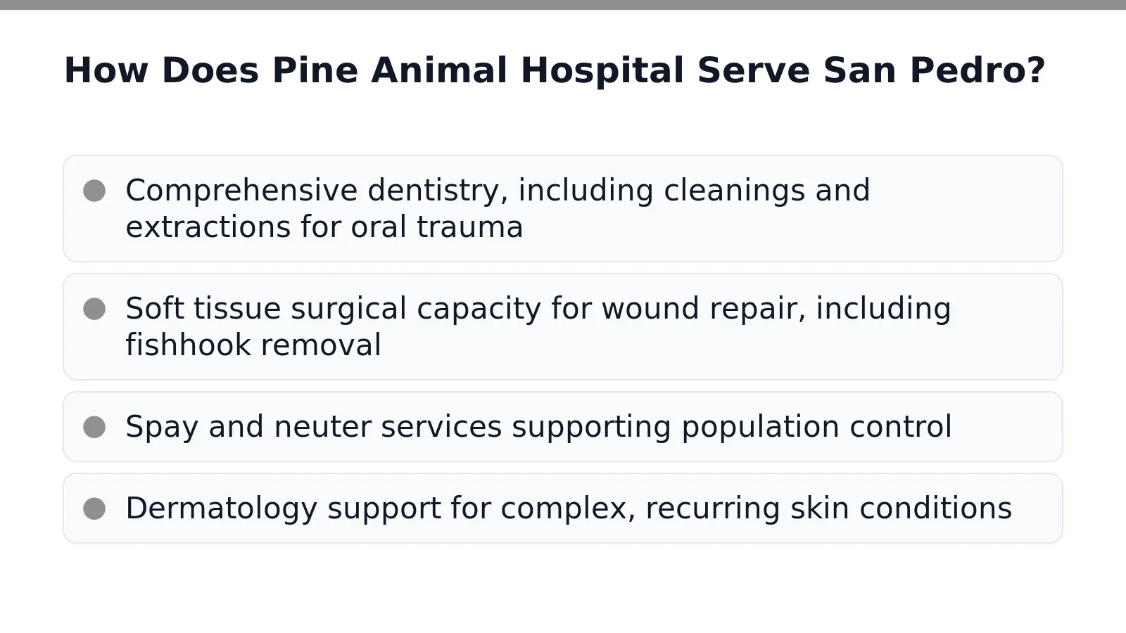 How Does Pine Animal Hospital Serve San Pedro